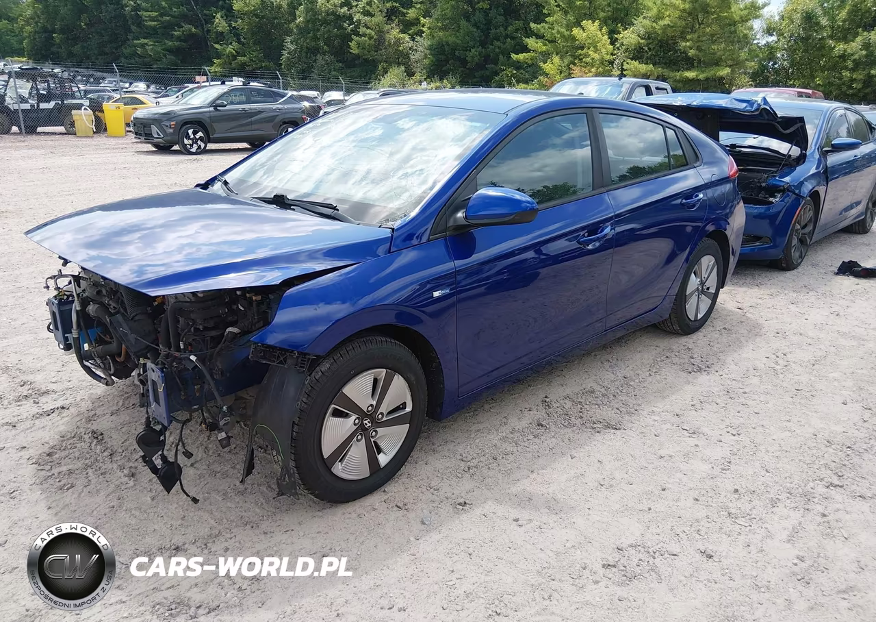 2019 Hyundai Ioniq Hybrid Blue VIN:KMHC65LC9KU173523 - 2