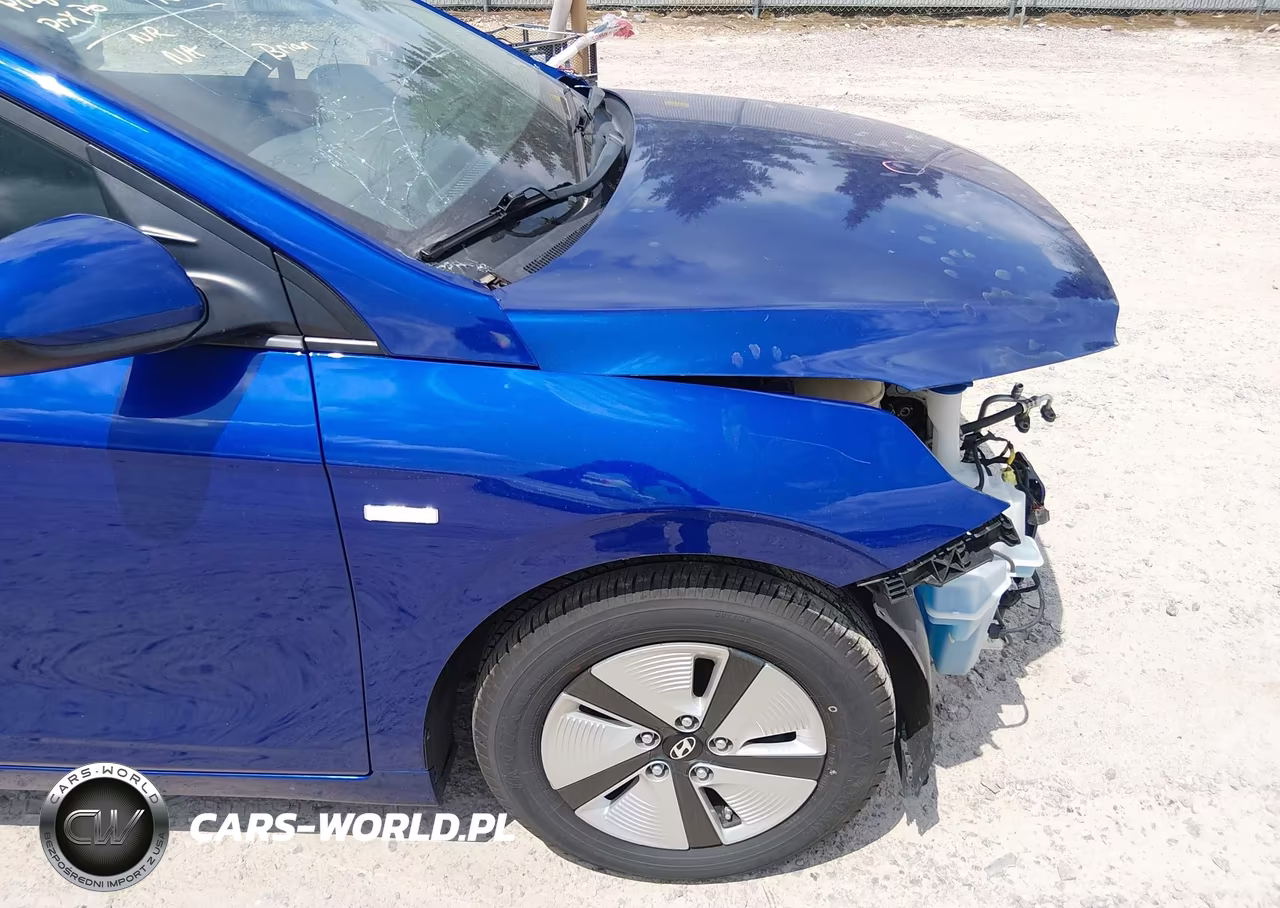 2019 Hyundai Ioniq Hybrid Blue VIN:KMHC65LC9KU173523 - 21