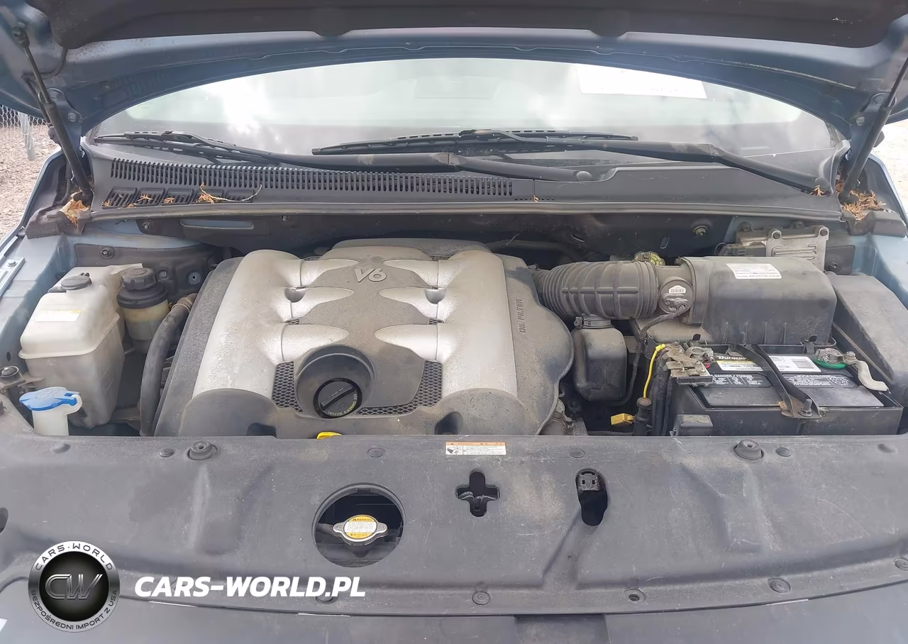 2007 Hyundai Entourage Gls-Limited-Se VIN:KNDMC233576037658 - 10