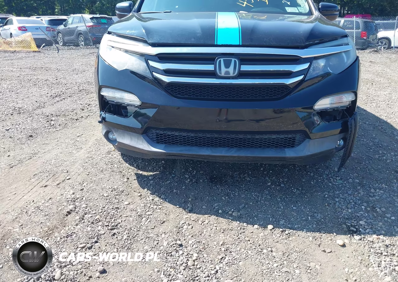 2016 Honda Pilot Elite VIN:5FNYF6H07GB102769 - 6