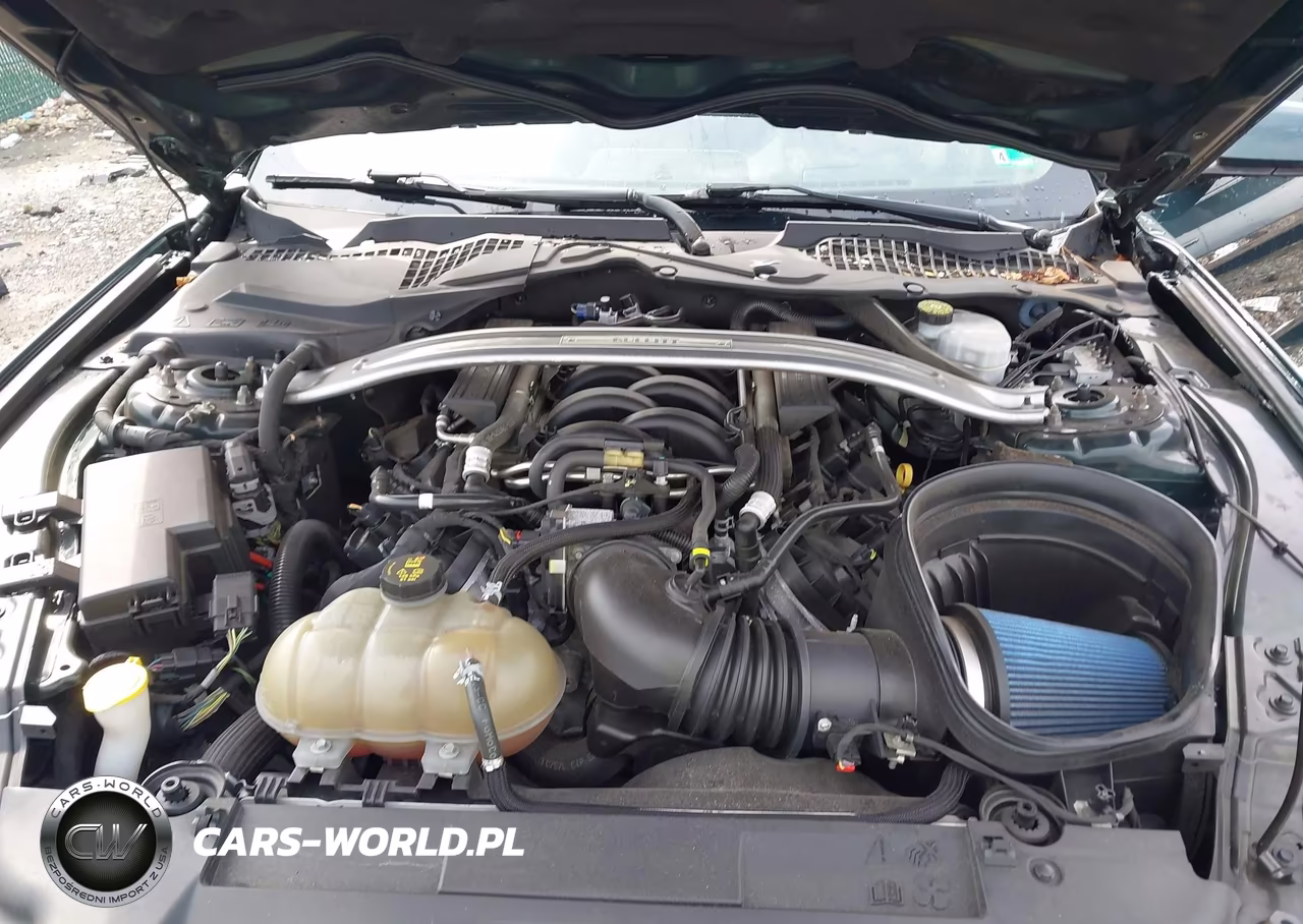 2019 Ford Mustang Bullitt VIN:1FA6P8K08K5501473 - 10
