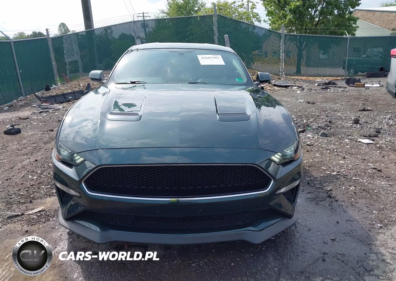 2019 Ford Mustang Bullitt VIN:1FA6P8K08K5501473 - 12