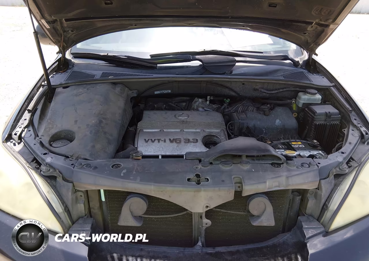 2004 Lexus Rx 330 VIN:JTJGA31U240020784 - 10