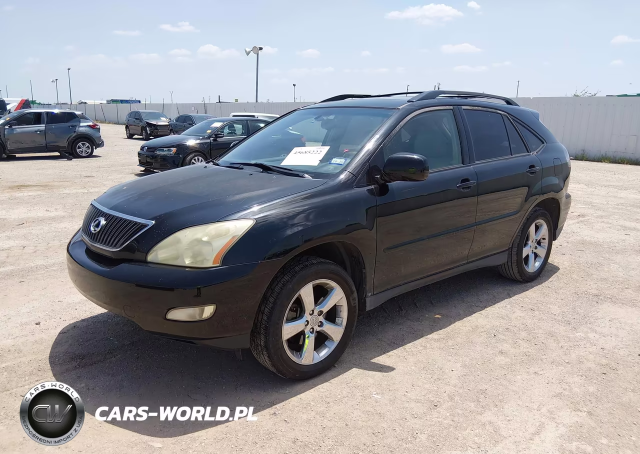2004 Lexus Rx 330 VIN:JTJGA31U240020784 - 2