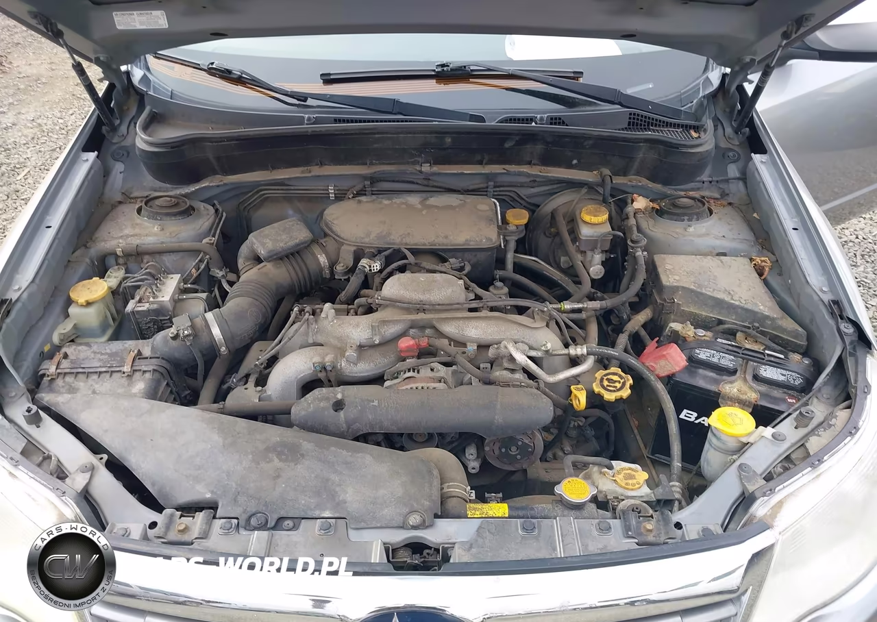 2010 Subaru Forester 2.5X Premium VIN:JF2SH6CC4AG801969 - 10