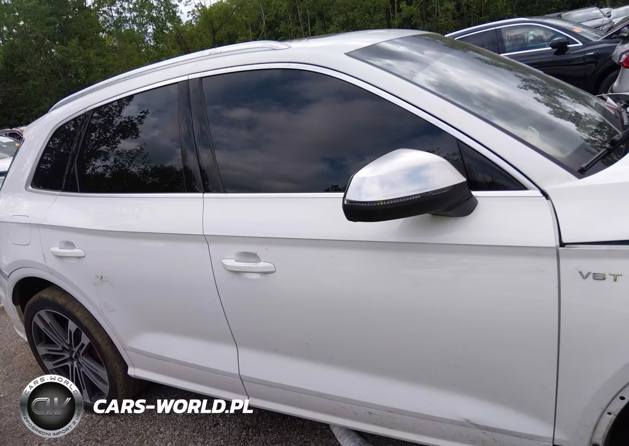 2018 Audi Sq5 3.0T Premium Plus VIN:WA1C4AFY1J2079621 - 14