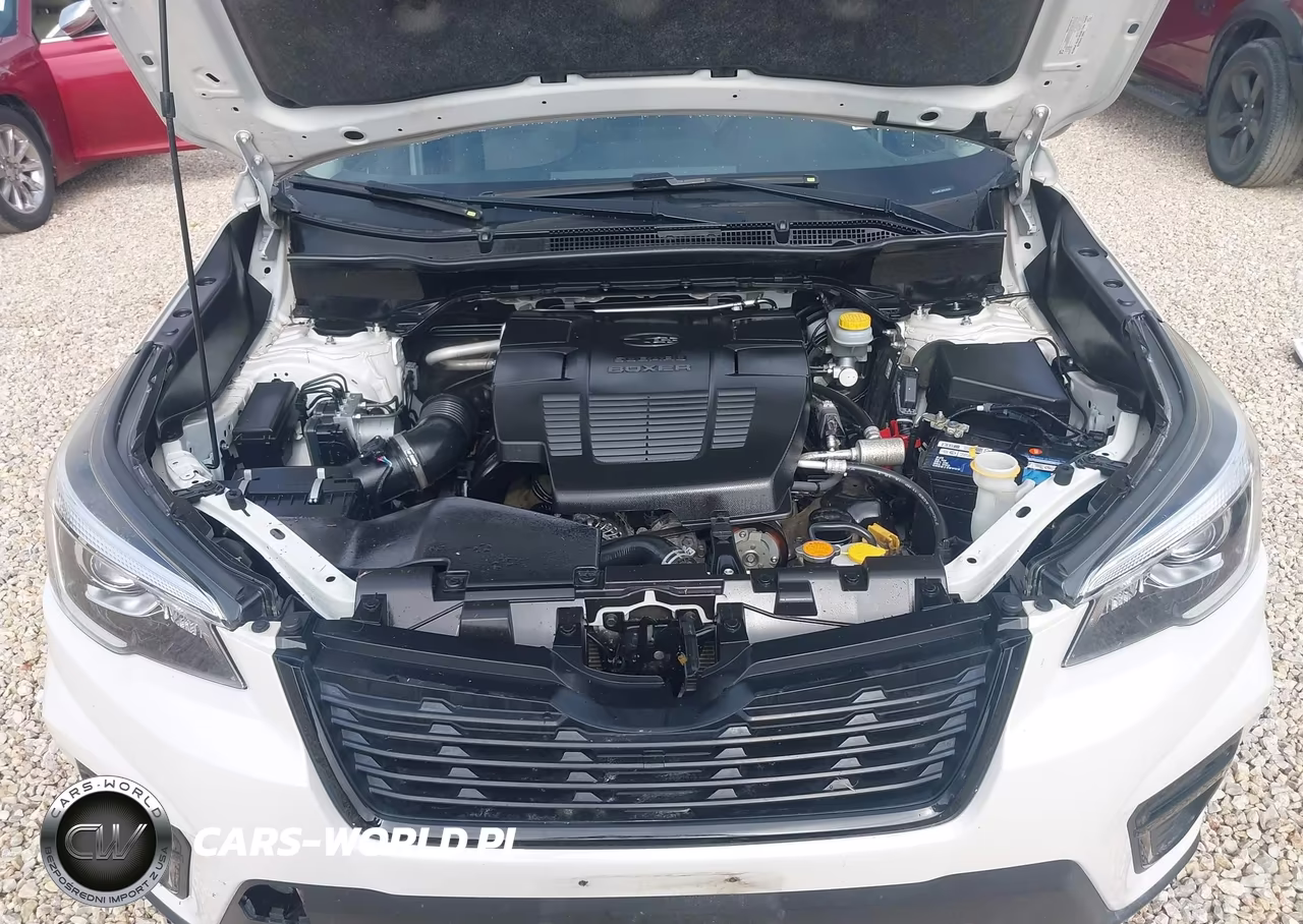 2019 Subaru Forester Sport VIN:JF2SKAPC2KH538360 - 10