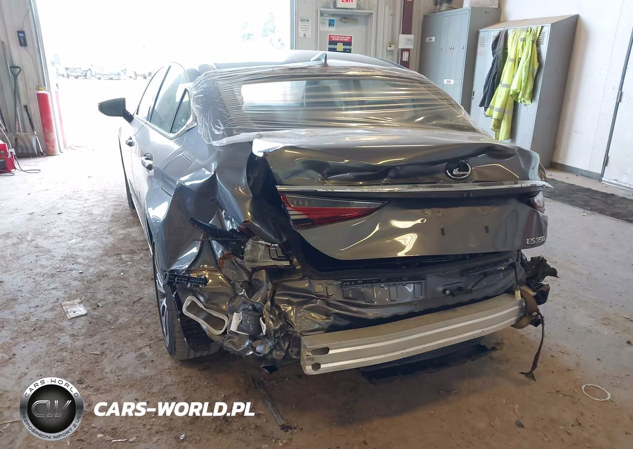 2020 Lexus Es 350 VIN:58ADZ1B17LU078246 - 6