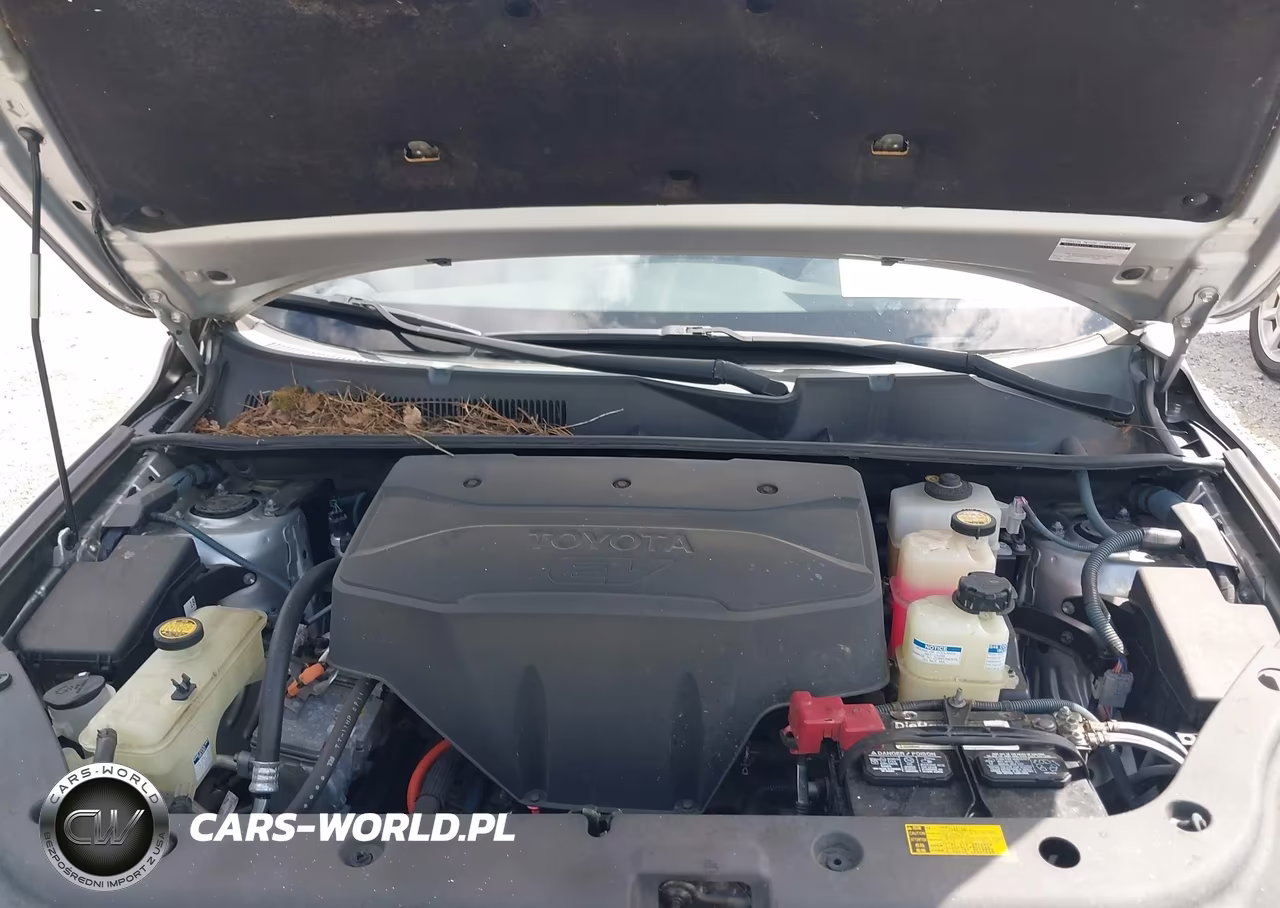 2013 Toyota Rav4 Ev VIN:2T3YL4DV0DW001786 - 10