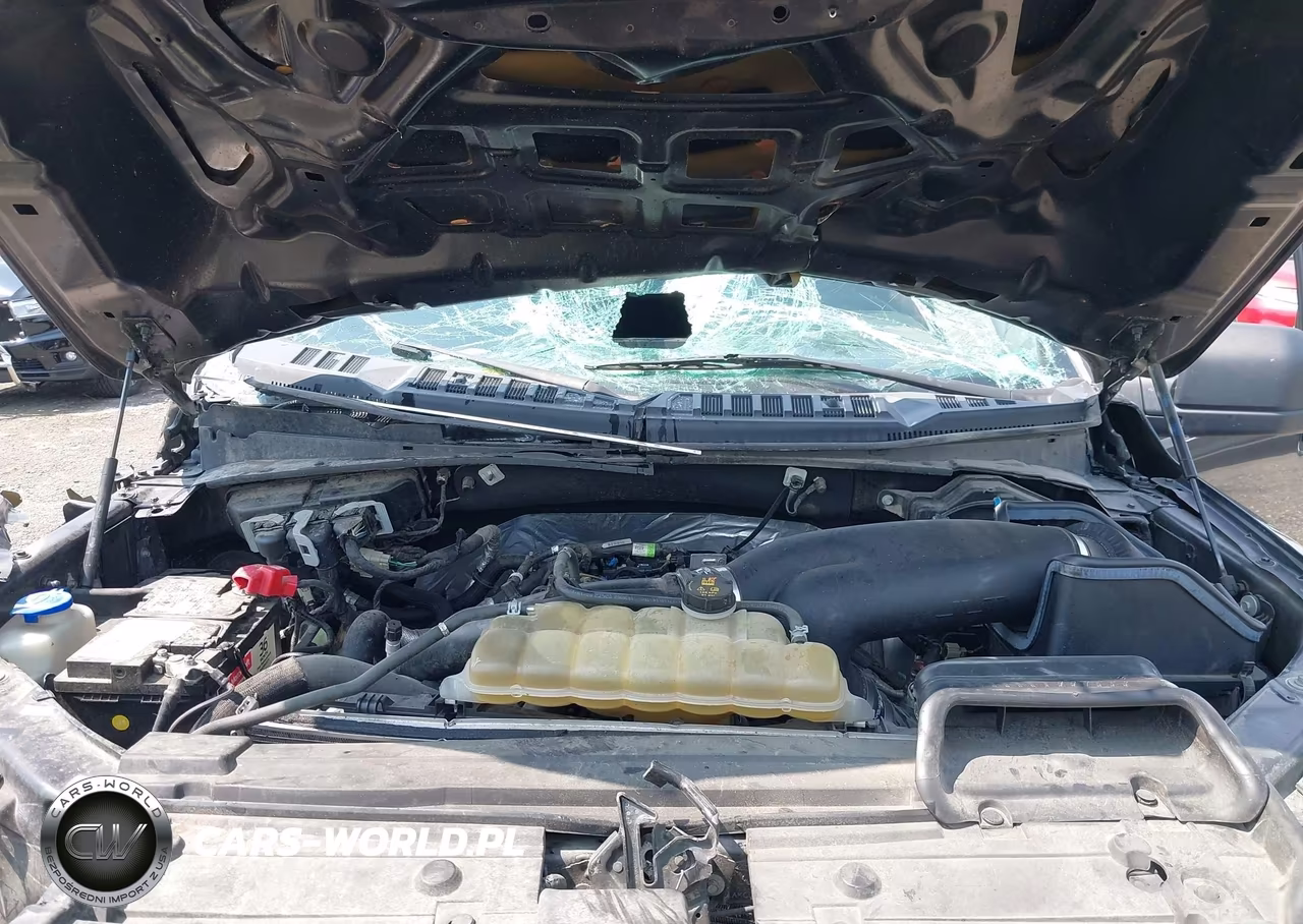 2019 Ford F-150 Xl VIN:1FTMF1EP1KKD02173 - 10