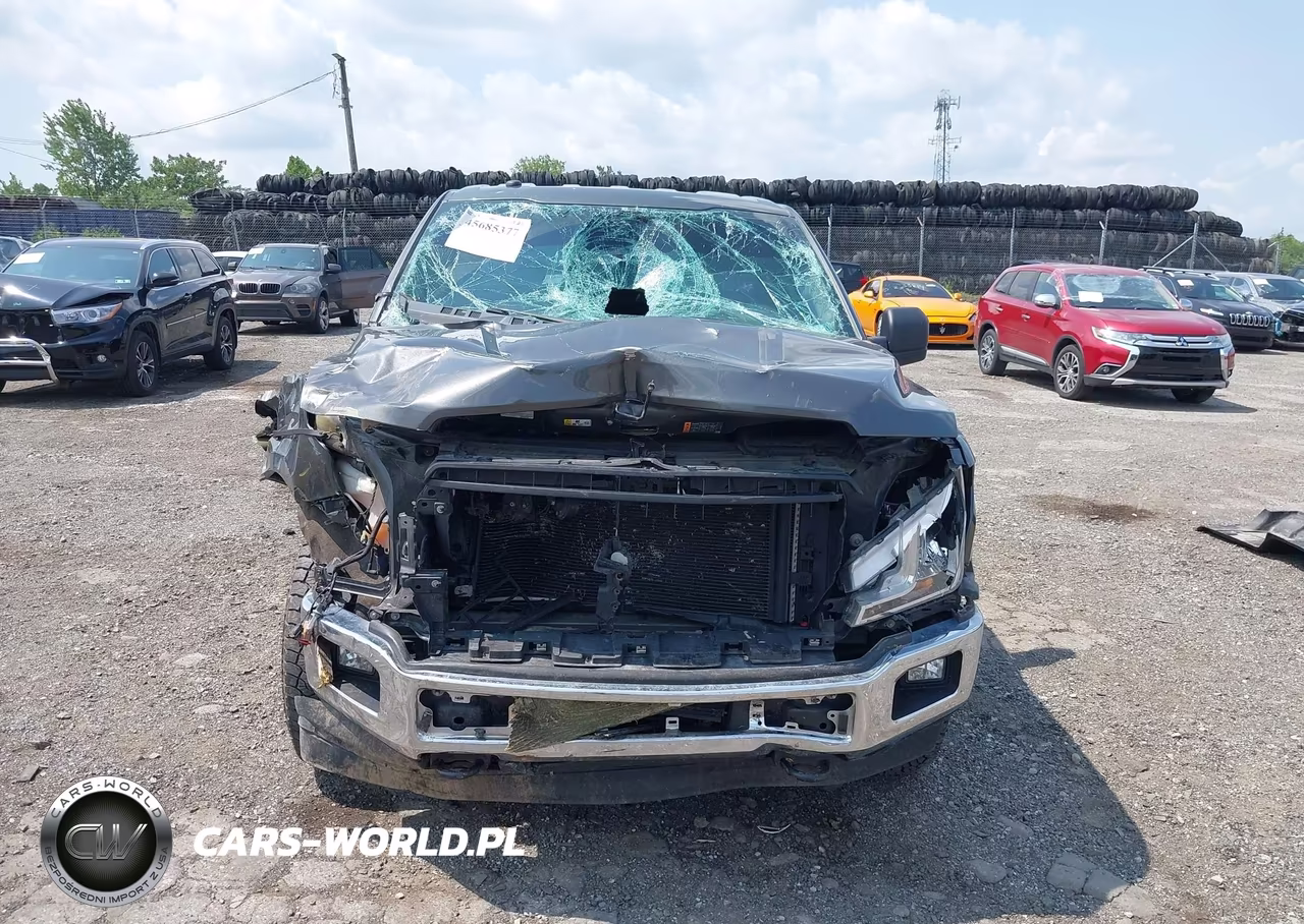 2019 Ford F-150 Xl VIN:1FTMF1EP1KKD02173 - 12
