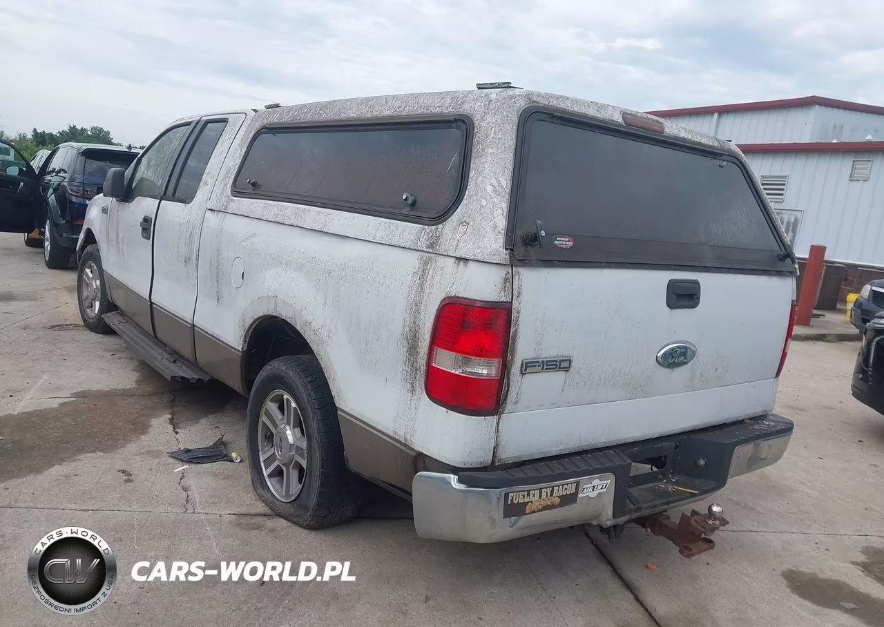 2006 Ford F-150 Lariat-Xl-Xlt VIN:1FTPX12V46NB15320 - 3