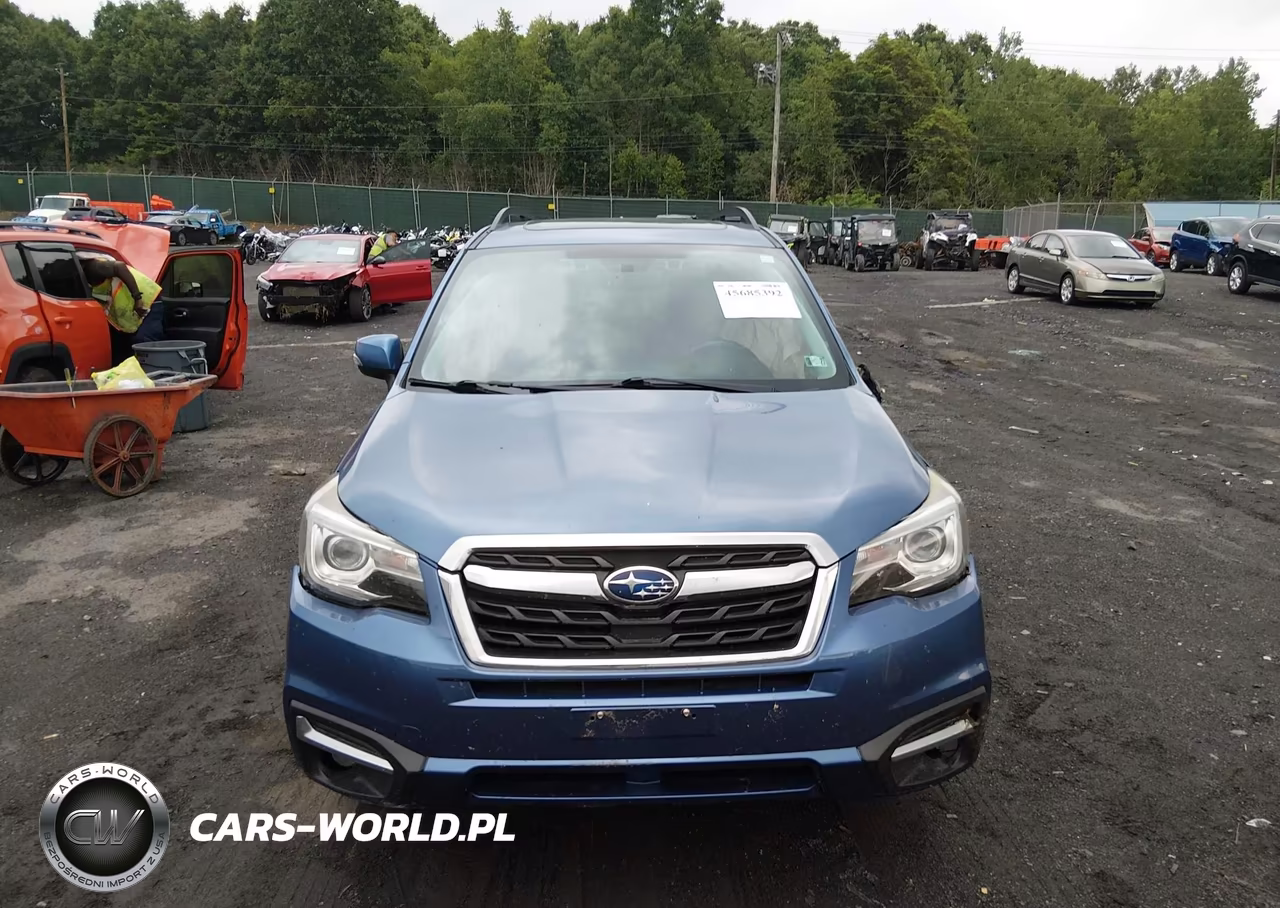 2017 Subaru Forester 2.5I Touring VIN:JF2SJAWC4HH522531 - 12