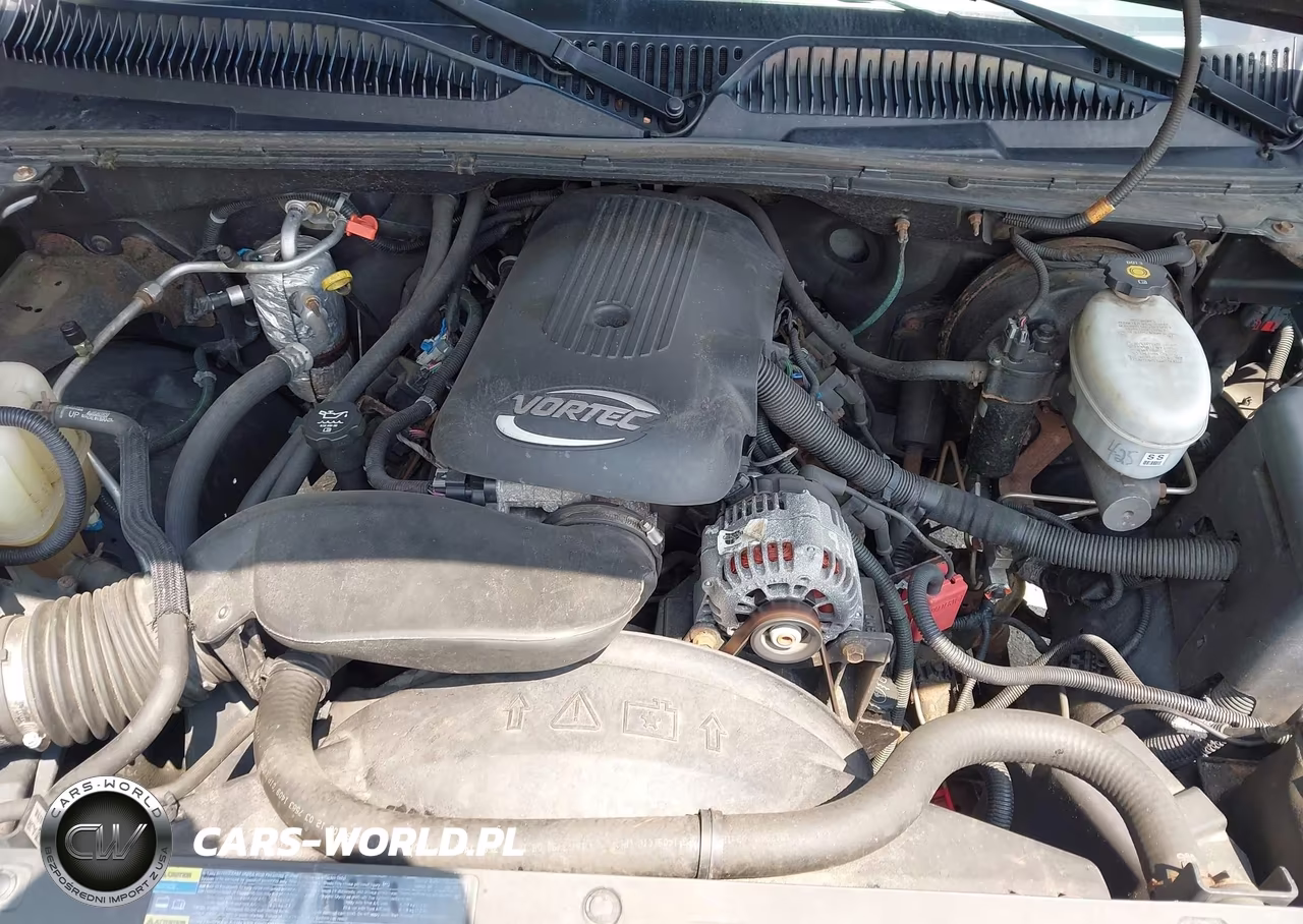 2004 Chevrolet Silverado 1500 Ls VIN:2GCEK19V141166316 - 10