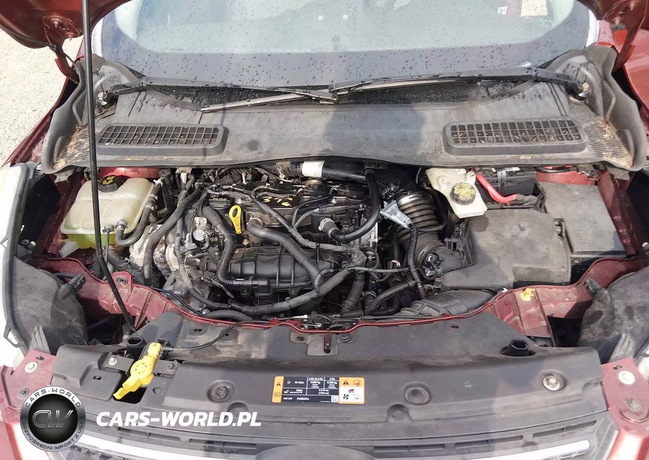 2014 Ford Escape Se VIN:1FMCU0GX2EUA49846 - 10