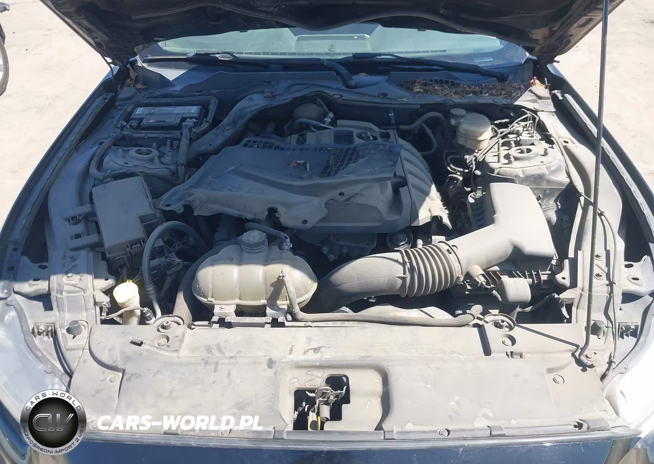 2016 Ford Mustang Ecoboost VIN:1FA6P8TH5G5285044 - 10