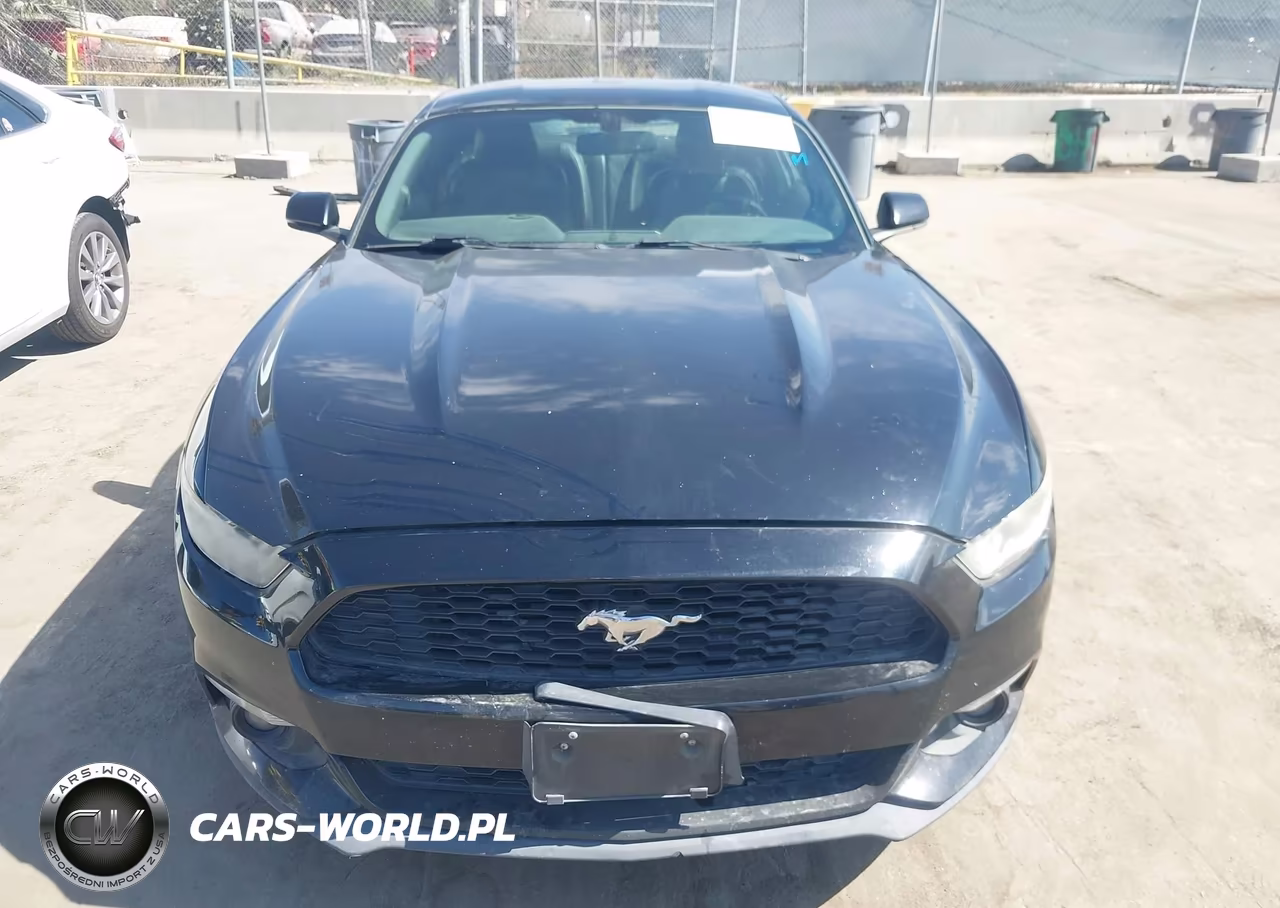 2016 Ford Mustang Ecoboost VIN:1FA6P8TH5G5285044 - 12