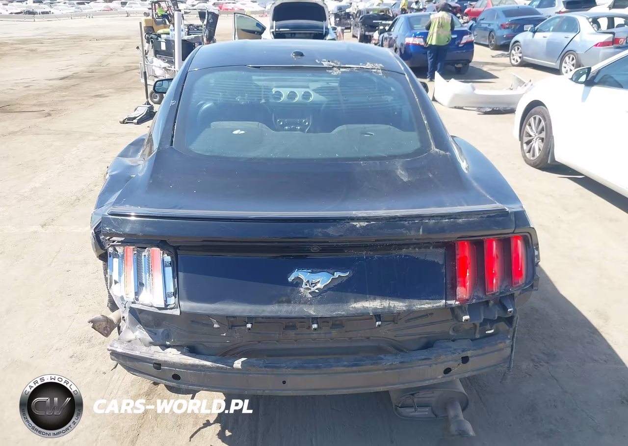 2016 Ford Mustang Ecoboost VIN:1FA6P8TH5G5285044 - 16