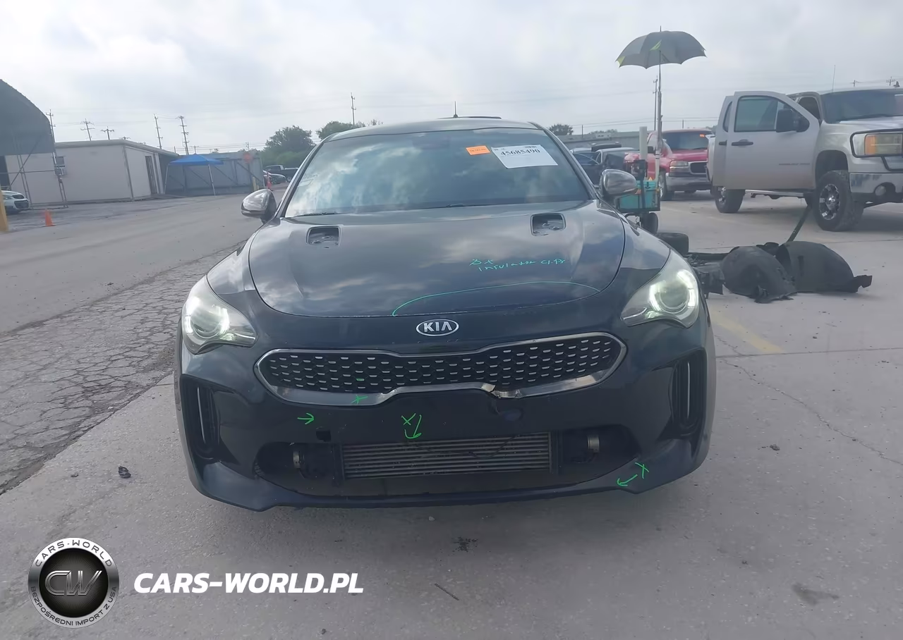 2020 Kia Stinger Gt-Line VIN:KNAE15LA5L6080236 - 13