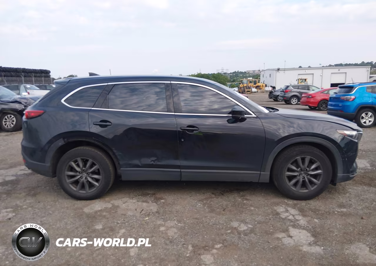 2021 Mazda Cx-9 Touring VIN:JM3TCBCY2M0541436 - 13