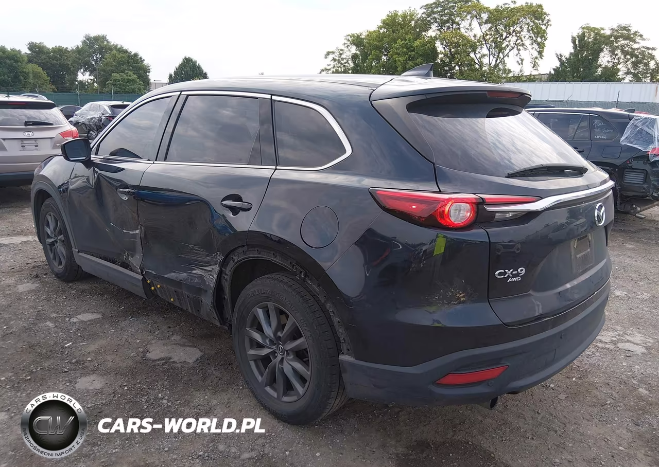 2021 Mazda Cx-9 Touring VIN:JM3TCBCY2M0541436 - 3