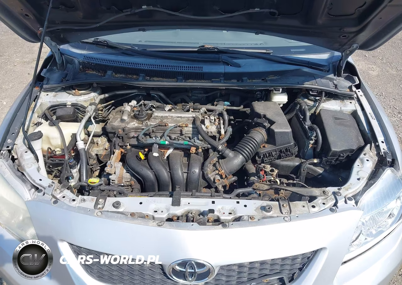 2010 Toyota Corolla Xle VIN:2T1BU4EE0AC329586 - 10