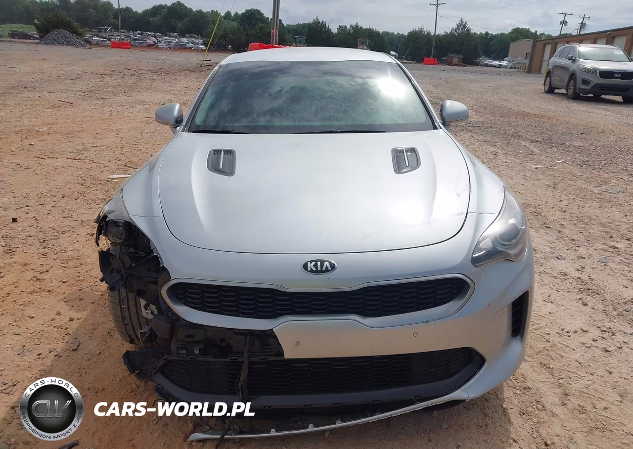 2018 Kia Stinger VIN:KNAE15LA2J6016832 - 12
