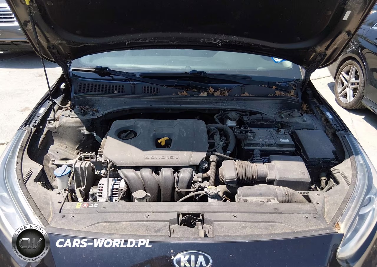 2019 Kia Forte Fe VIN:3KPF24AD1KE012472 - 10