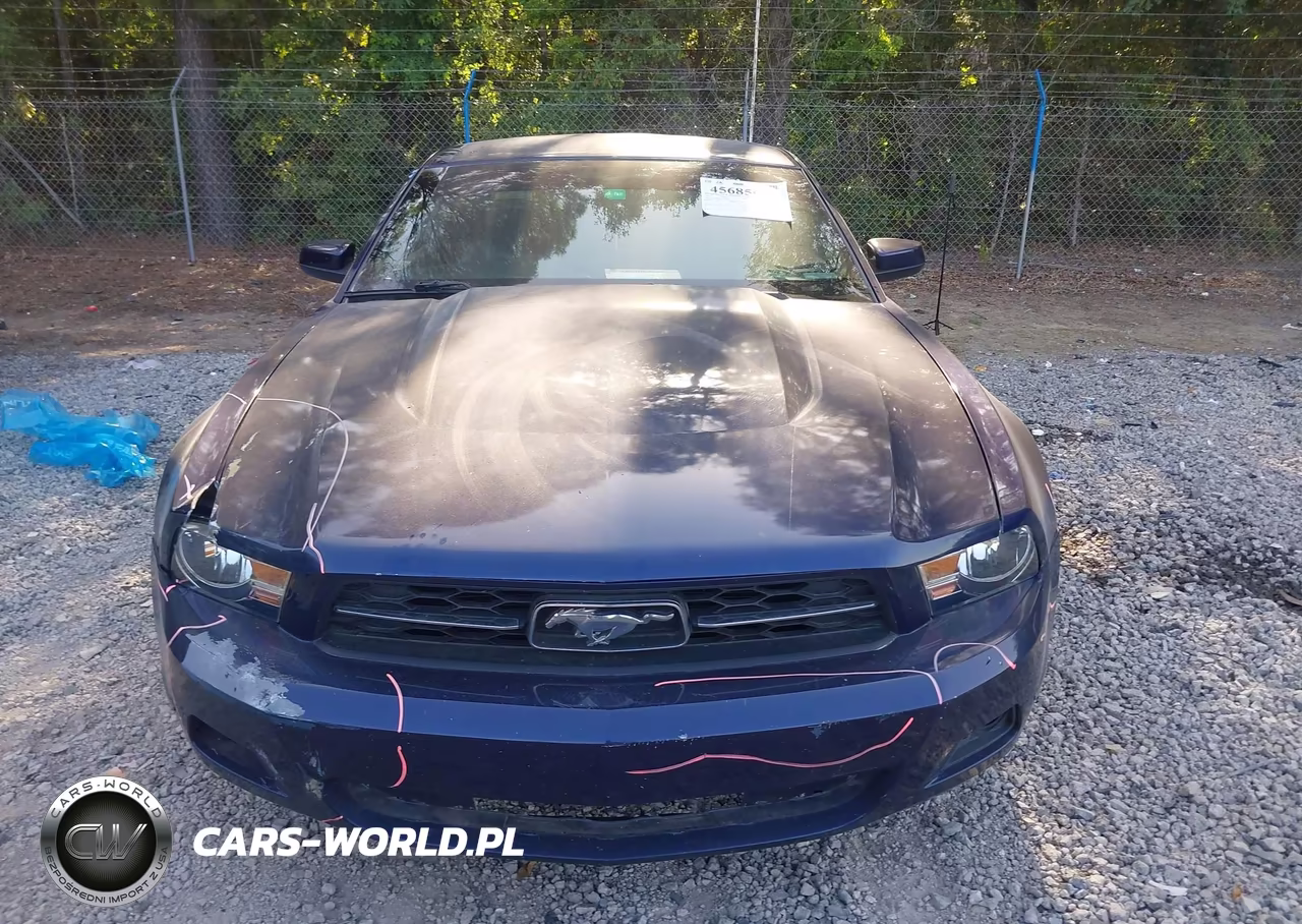 2012 Ford Mustang V6 Premium VIN:1ZVBP8AM3C5242631 - 12