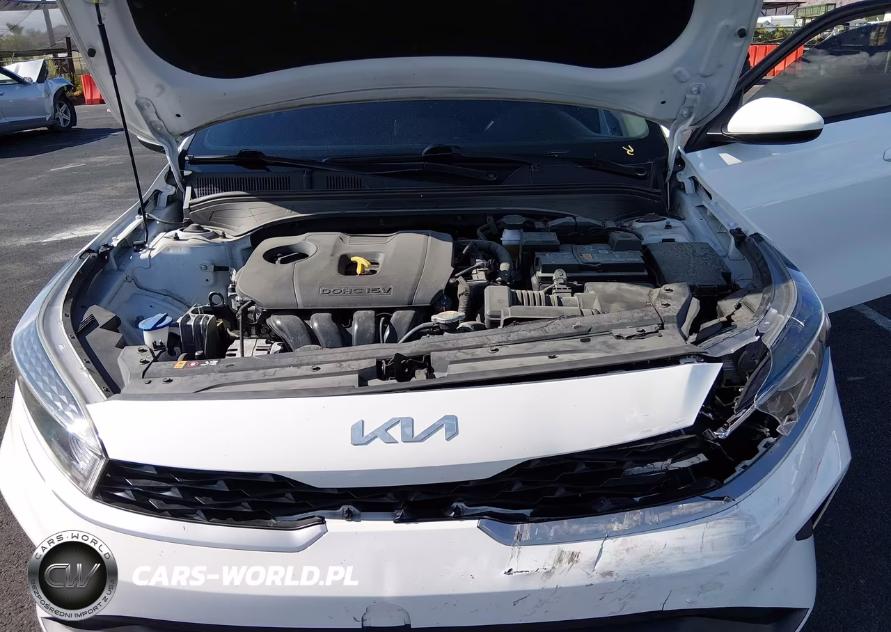 2024 Kia Forte Lx VIN:3KPF24AD1RE706282 - 10