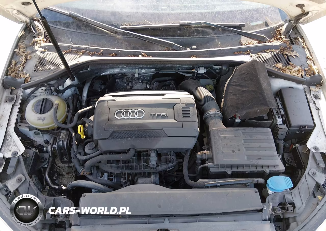 2015 Audi A3 2.0T Premium VIN:WAUEFGFF4F1112177 - 10