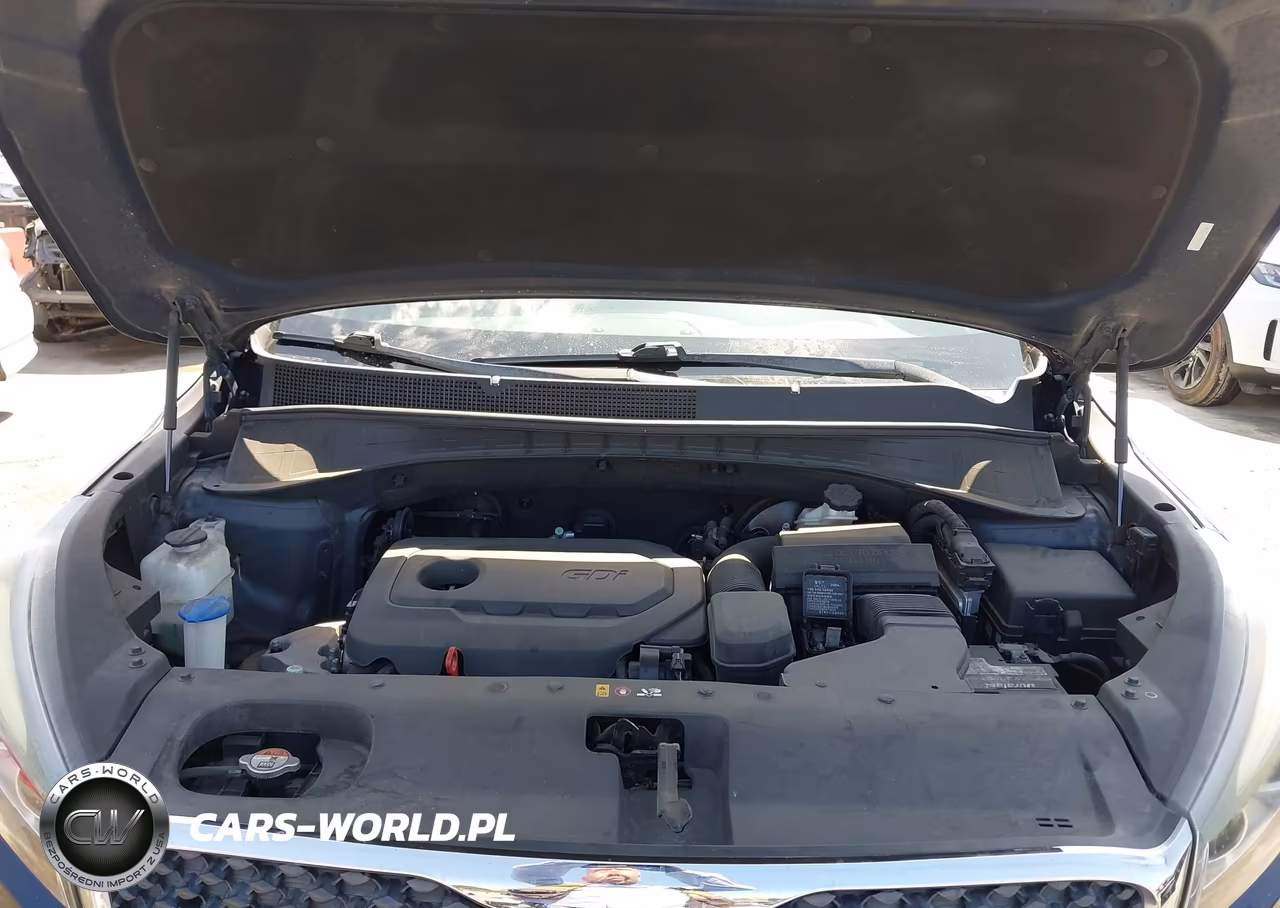 2016 Kia Sorento 2.4L Lx VIN:5XYPG4A31GG168275 - 10