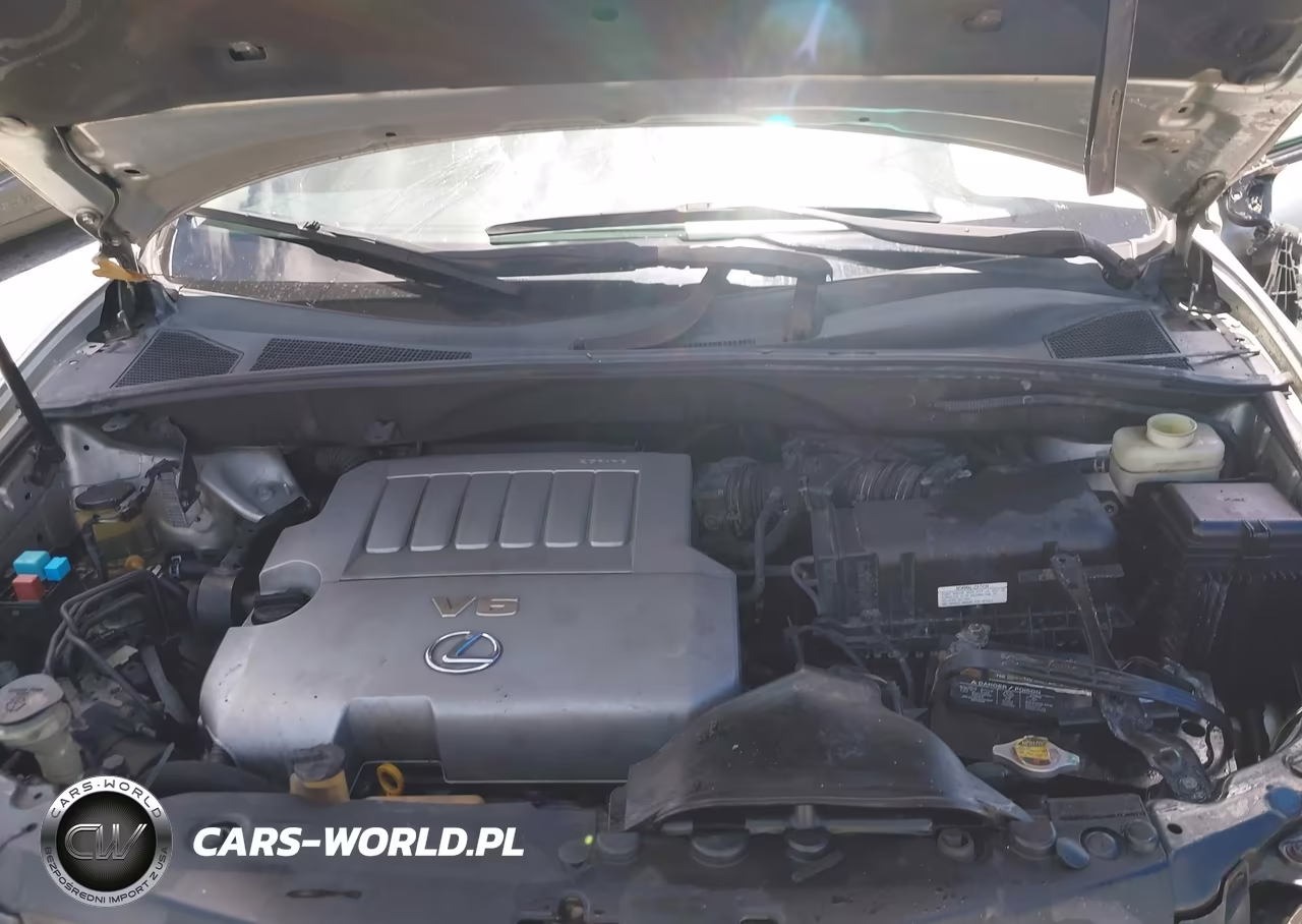 2007 Lexus Rx 350 VIN:2T2GK31U97C007861 - 10