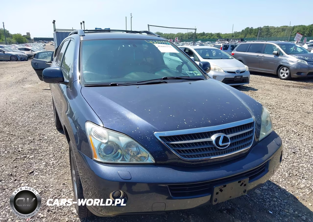 2006 Lexus Rx 400H VIN:JTJHW31U160003046 - 6