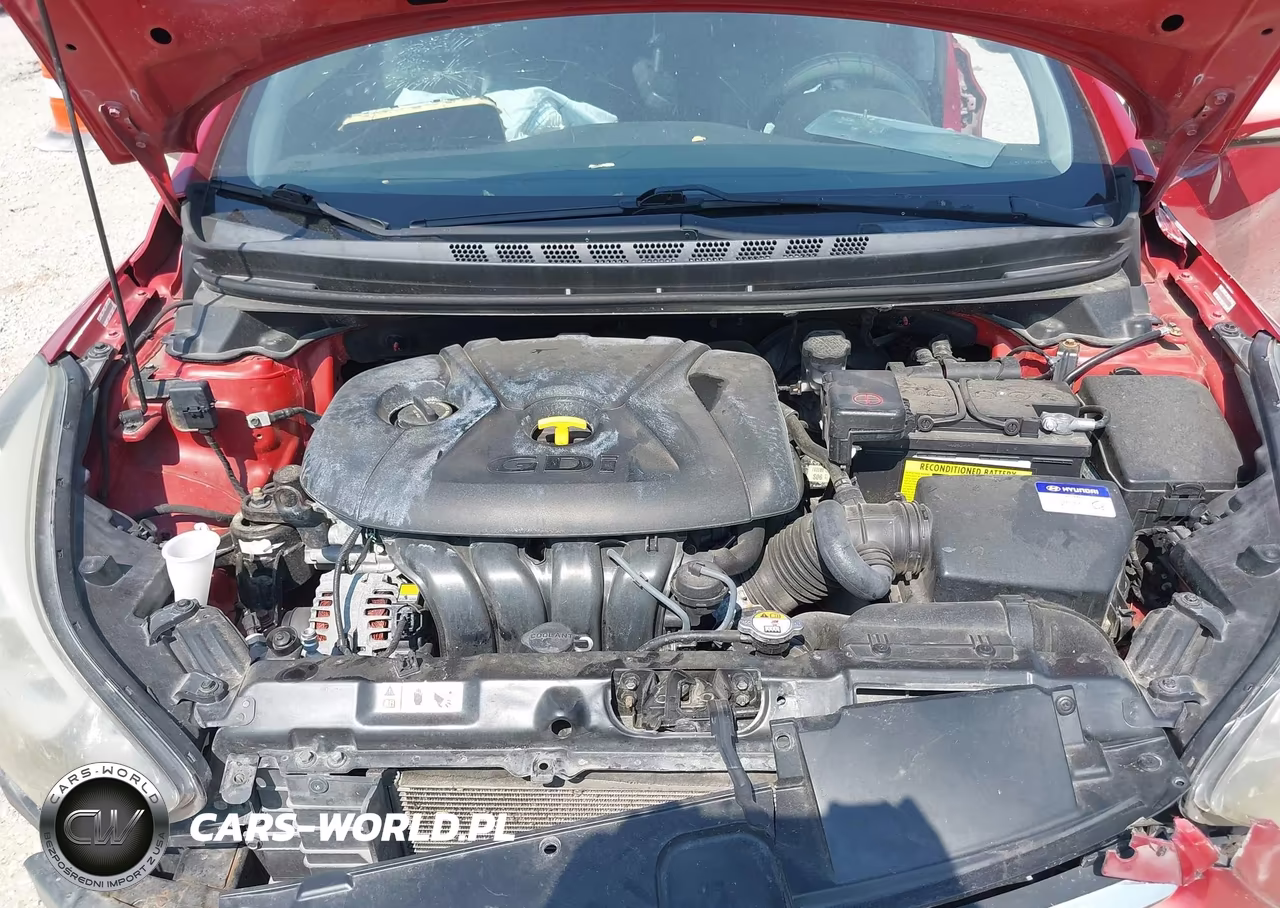 2014 Hyundai Elantra Sport VIN:KMHDH4AH6EU162166 - 10