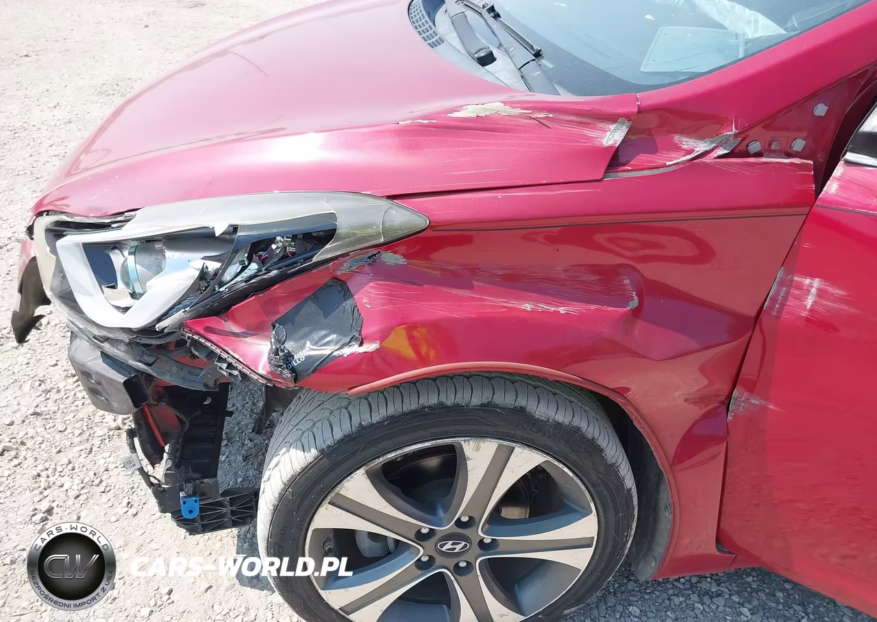 2014 Hyundai Elantra Sport VIN:KMHDH4AH6EU162166 - 6