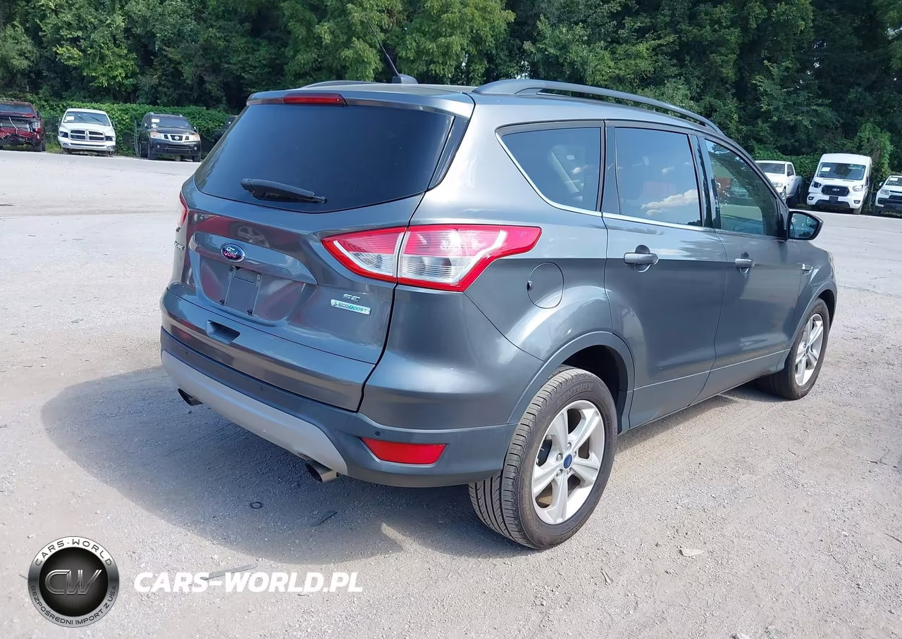 2014 Ford Escape Se VIN:1FMCU0GX4EUC61034 - 4