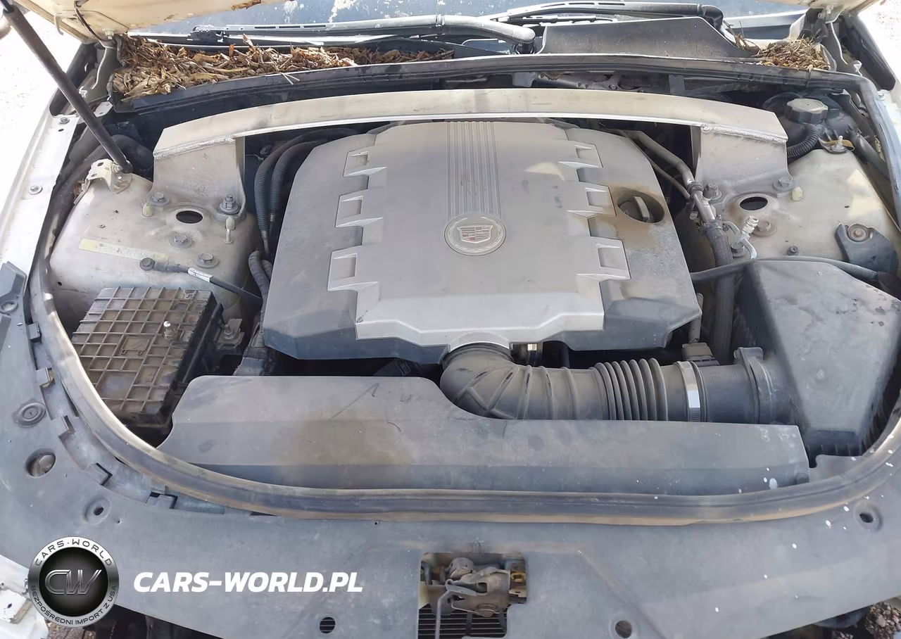 2008 Cadillac Cts Rwd W-1Sb VIN:1G6DV57V280158842 - 10