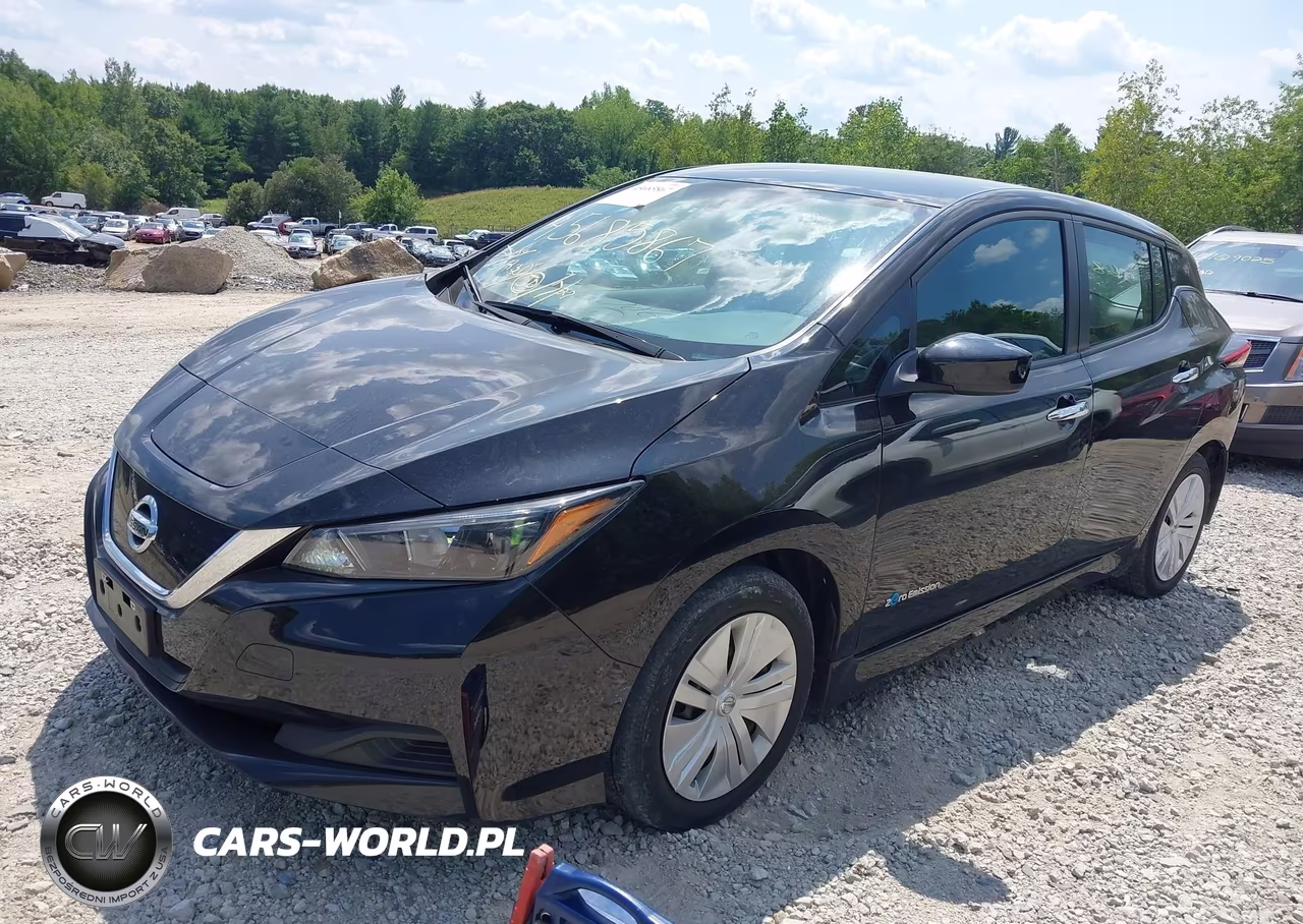 2019 Nissan Leaf S VIN:1N4AZ1CP8KC317394 - 2