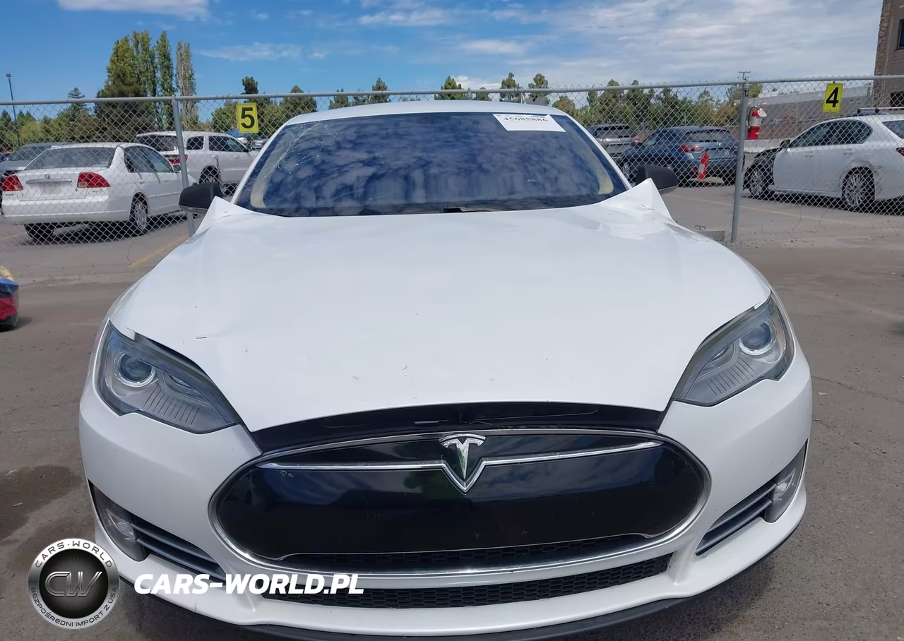 2012 Tesla Model S Signature VIN:5YJSA1CNXCFP02948 - 12