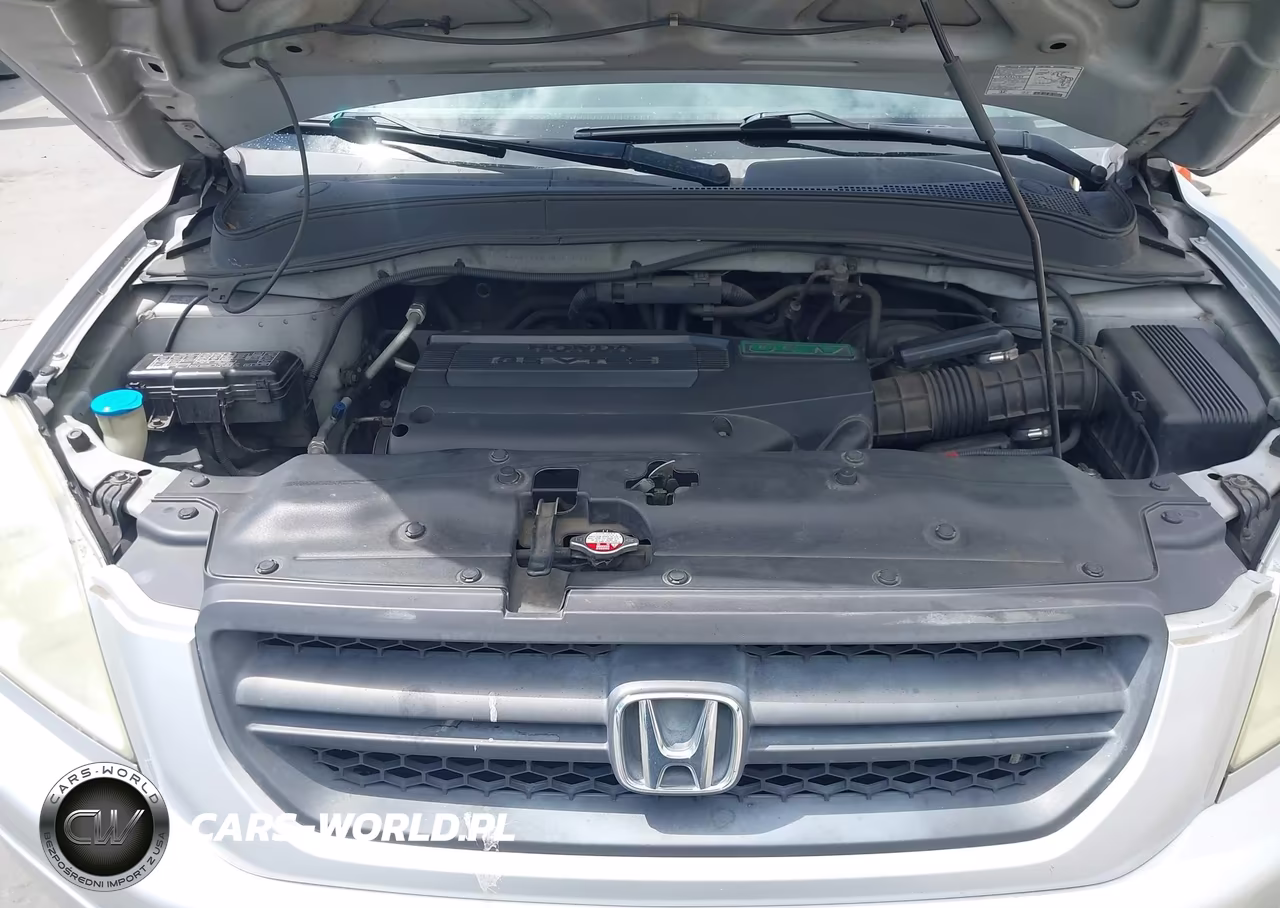 2004 Honda Pilot Ex-L VIN:2HKYF18534H505918 - 10