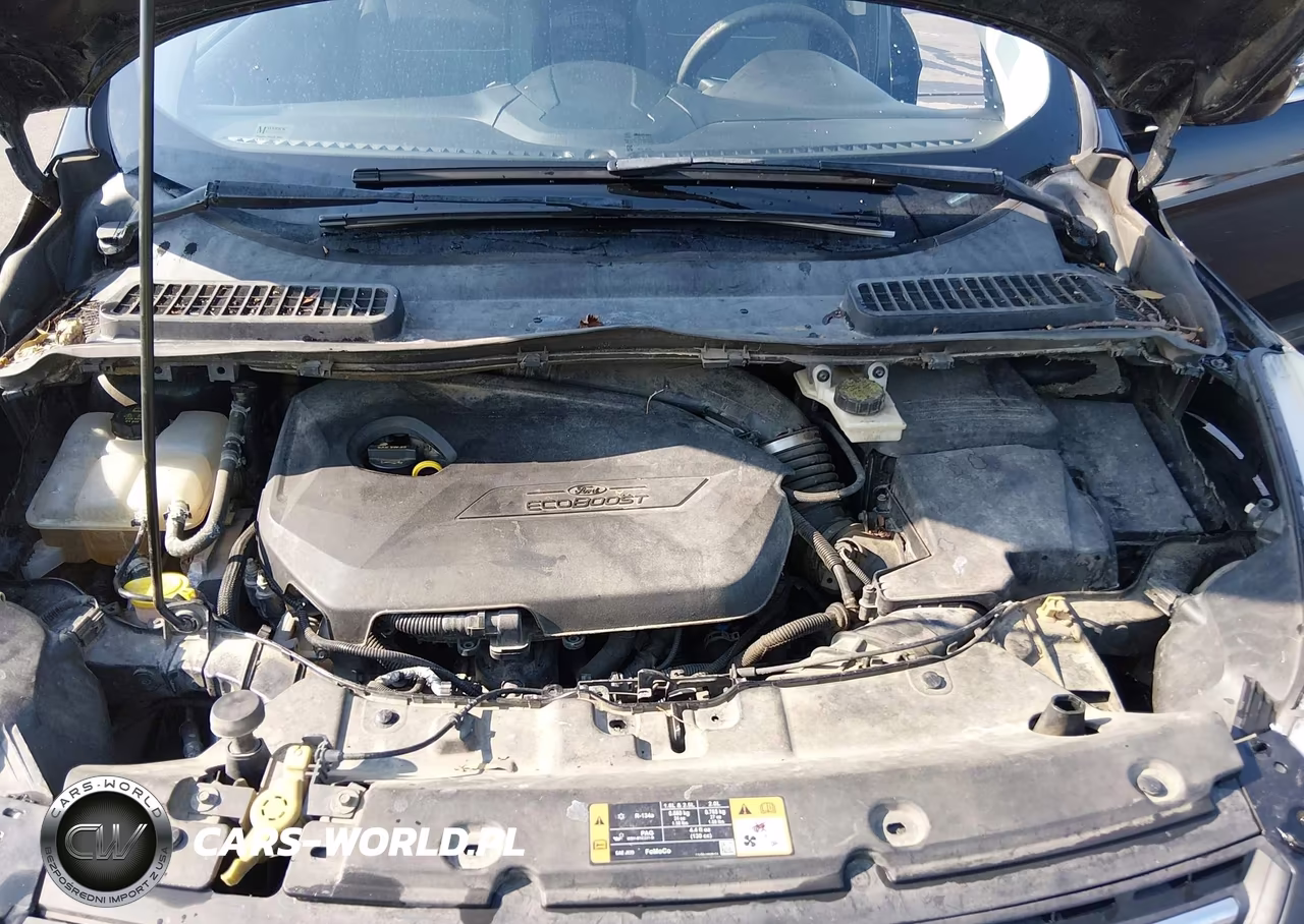 2014 Ford Escape Se VIN:1FMCU0GX8EUA63833 - 10