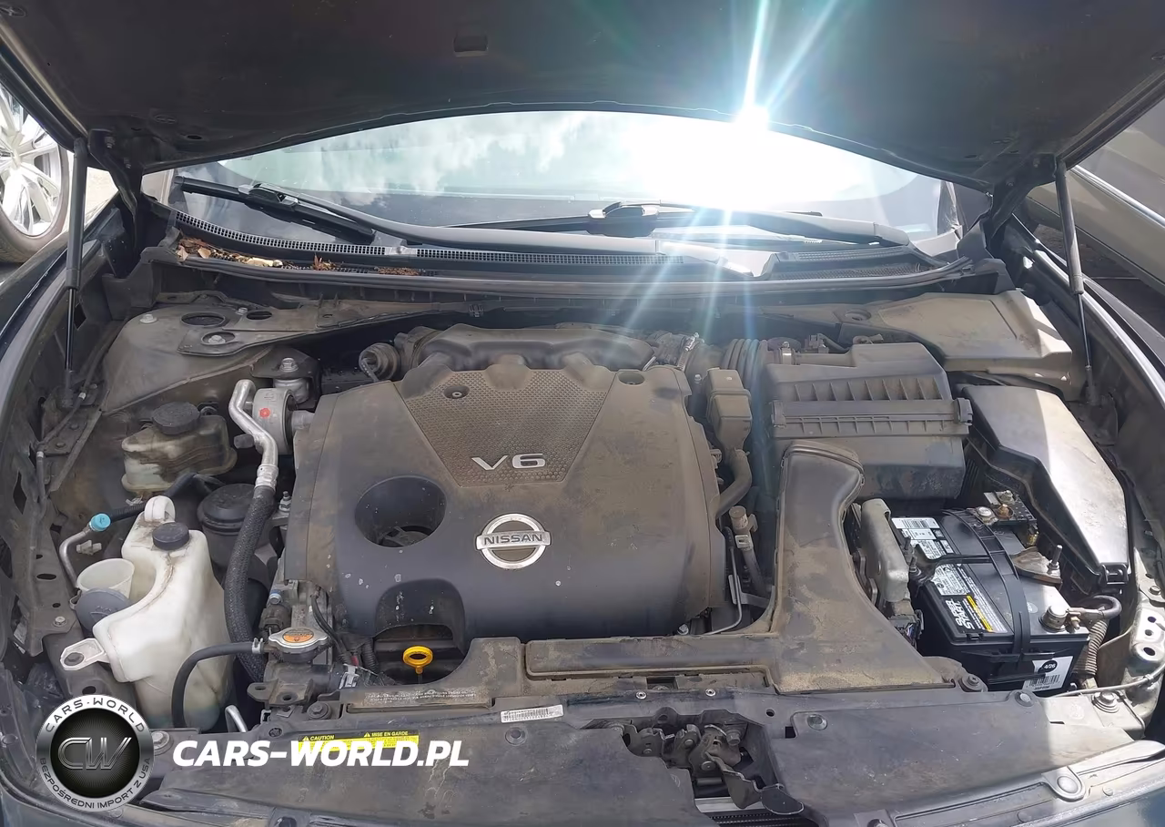 2013 Nissan Maxima 3.5 S VIN:1N4AA5AP4DC830906 - 10