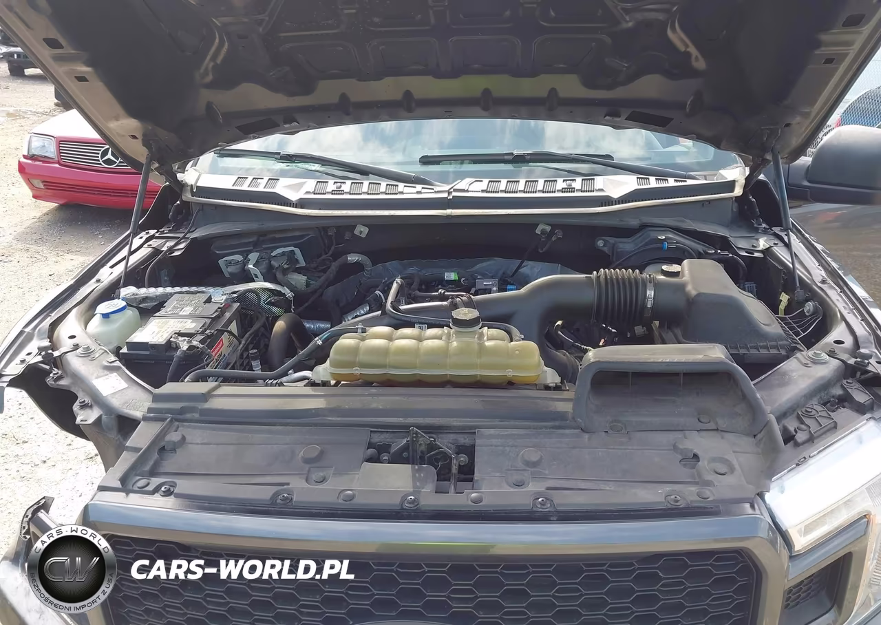 2019 Ford F-150 Xl VIN:1FTEW1EP5KKD44754 - 10