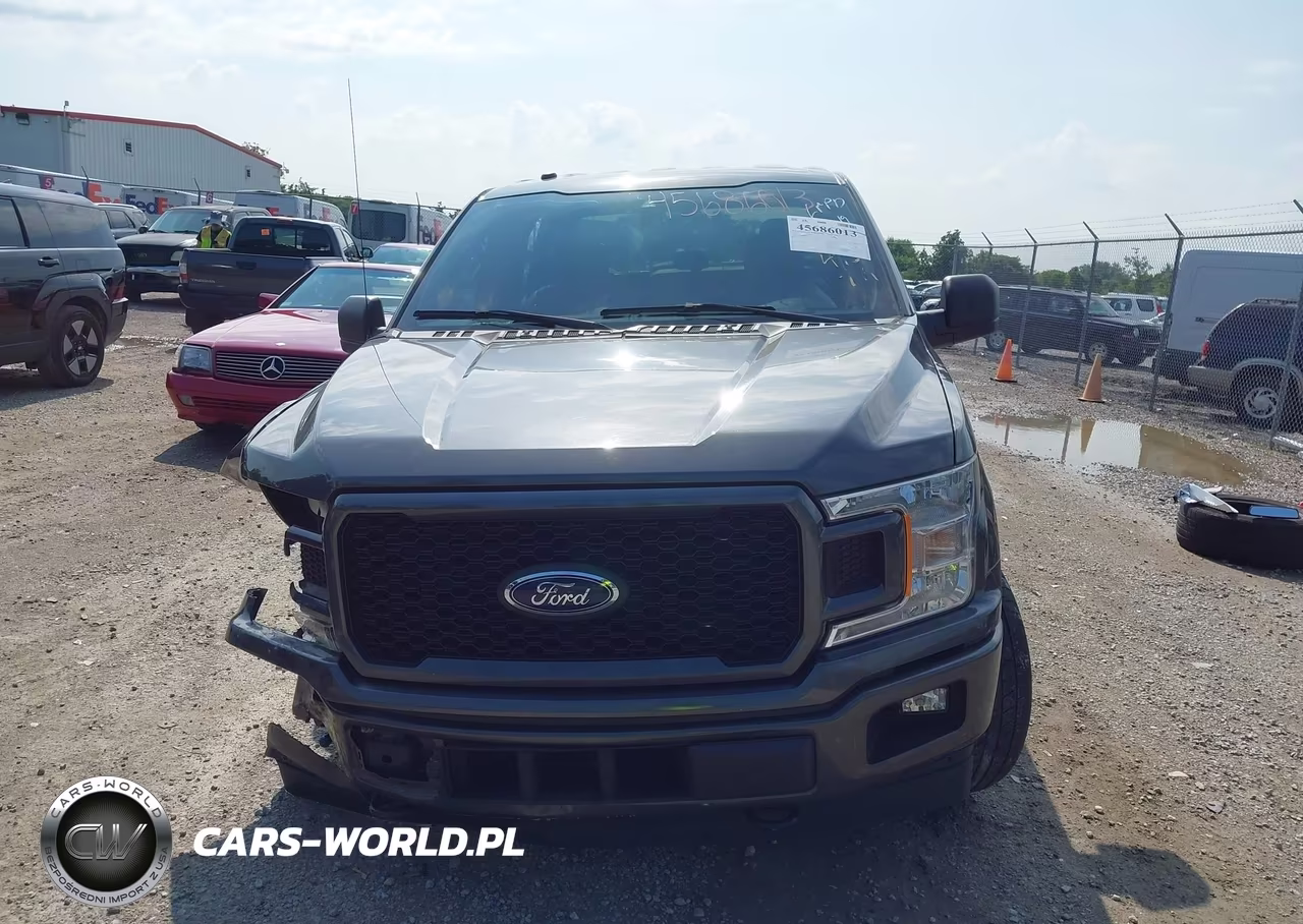 2019 Ford F-150 Xl VIN:1FTEW1EP5KKD44754 - 13
