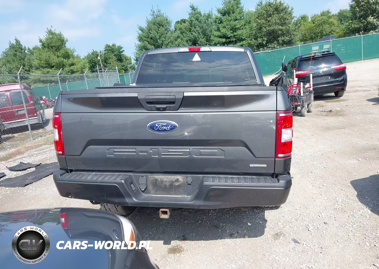 2019 Ford F-150 Xl VIN:1FTEW1EP5KKD44754 - 17