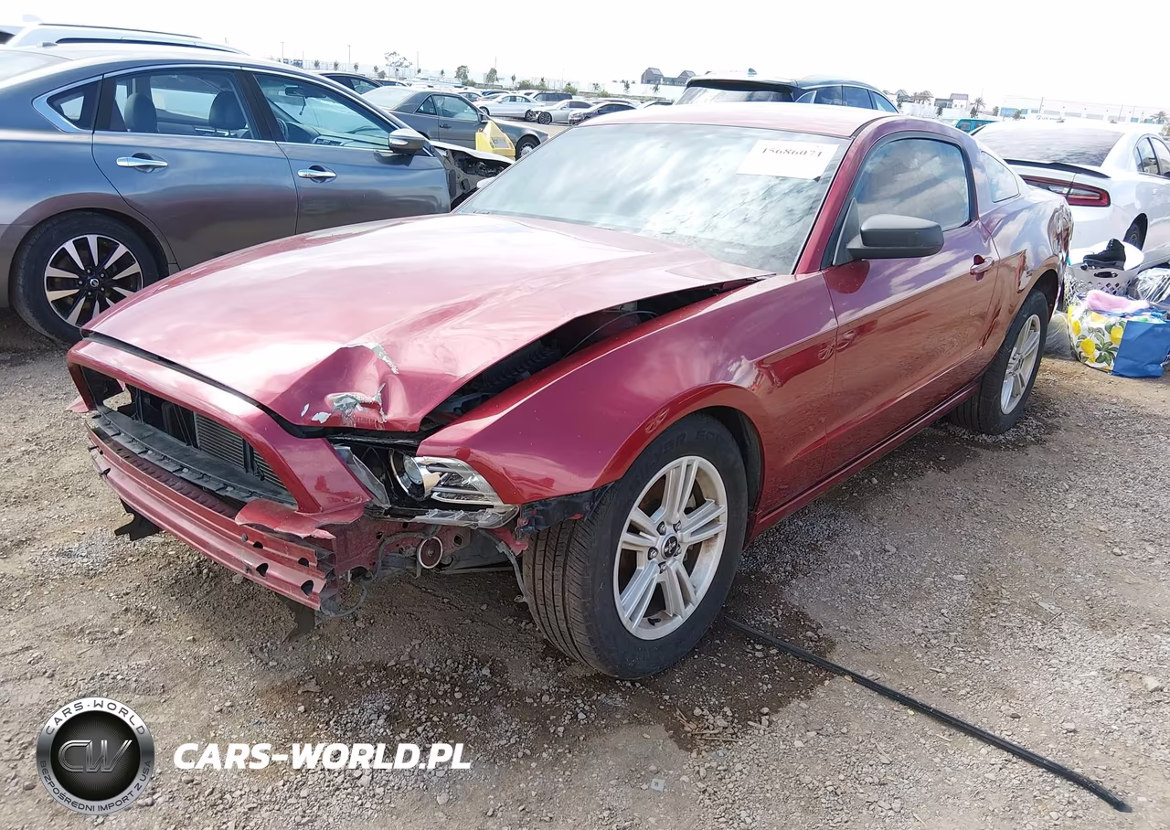 2014 Ford Mustang V6 VIN:1ZVBP8AM3E5327794 - 2