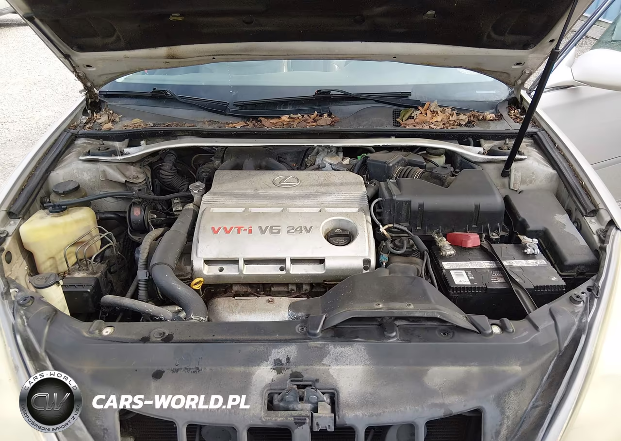 2003 Lexus Es 300 VIN:JTHBF30G530137461 - 10