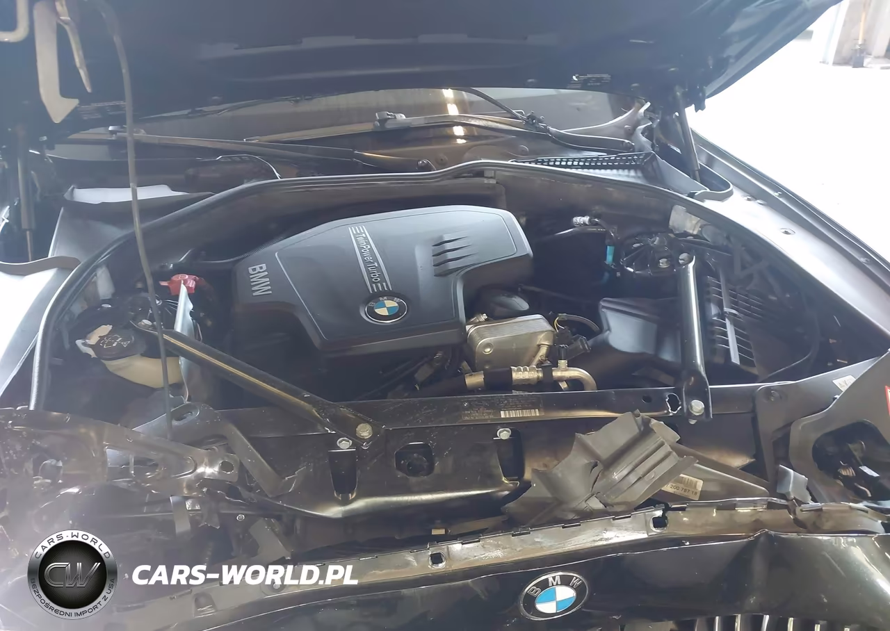 2012 BMW 528I xDrive VIN:WBAXH5C55CDW10644 - 10