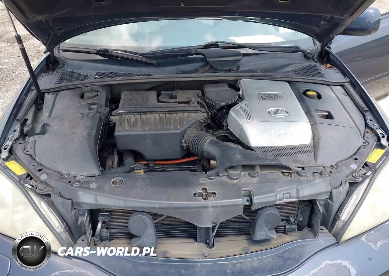 2006 Lexus Rx 400 VIN:JTJHW31U760018263 - 10